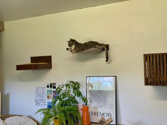 Comment allier design et bien-être pour votre chat ?