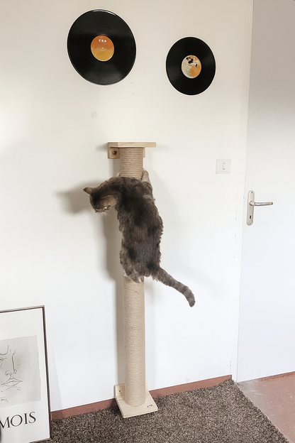 Notre griffoir XXL