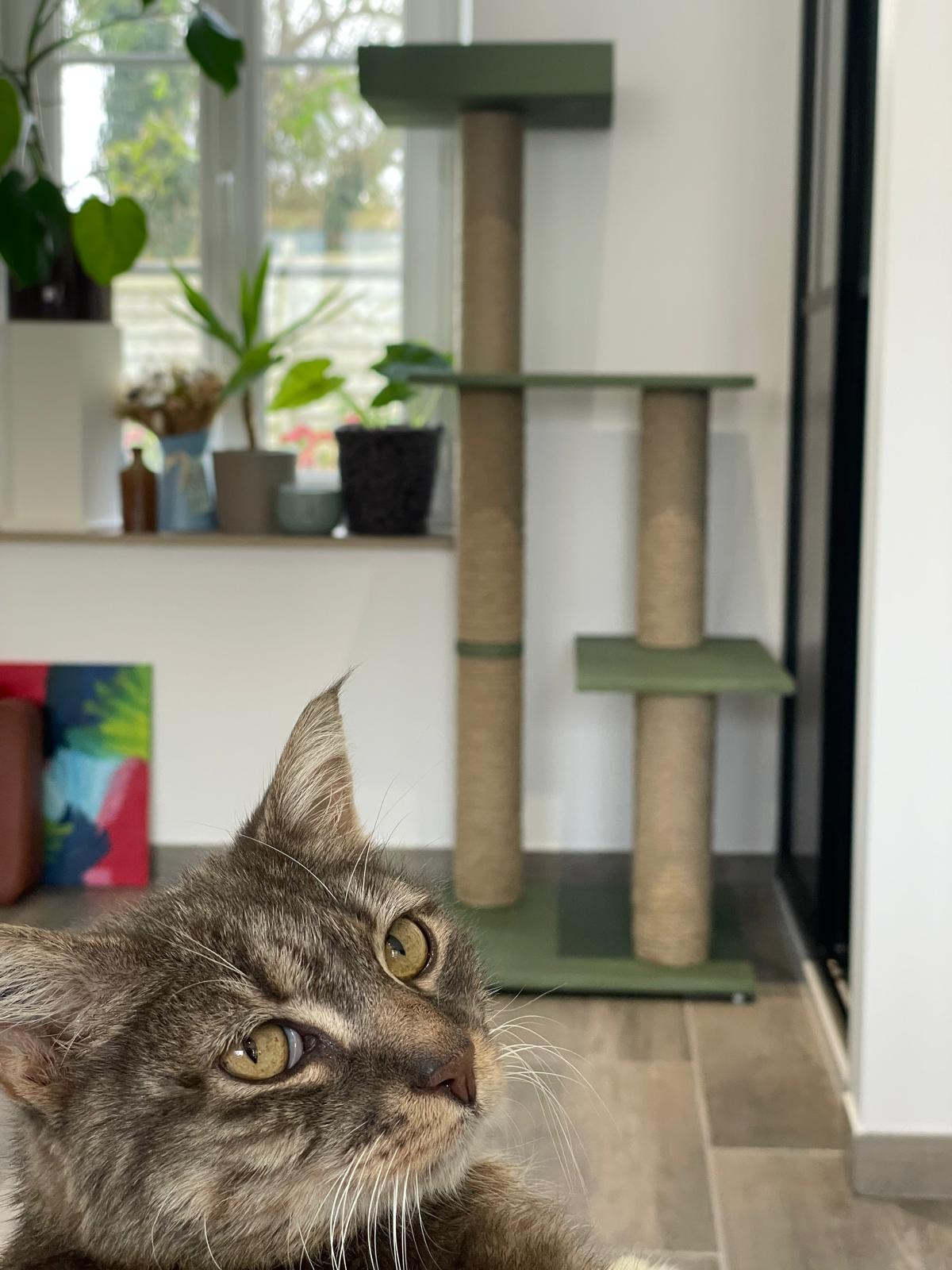 arbre à chat très solide et Made In France