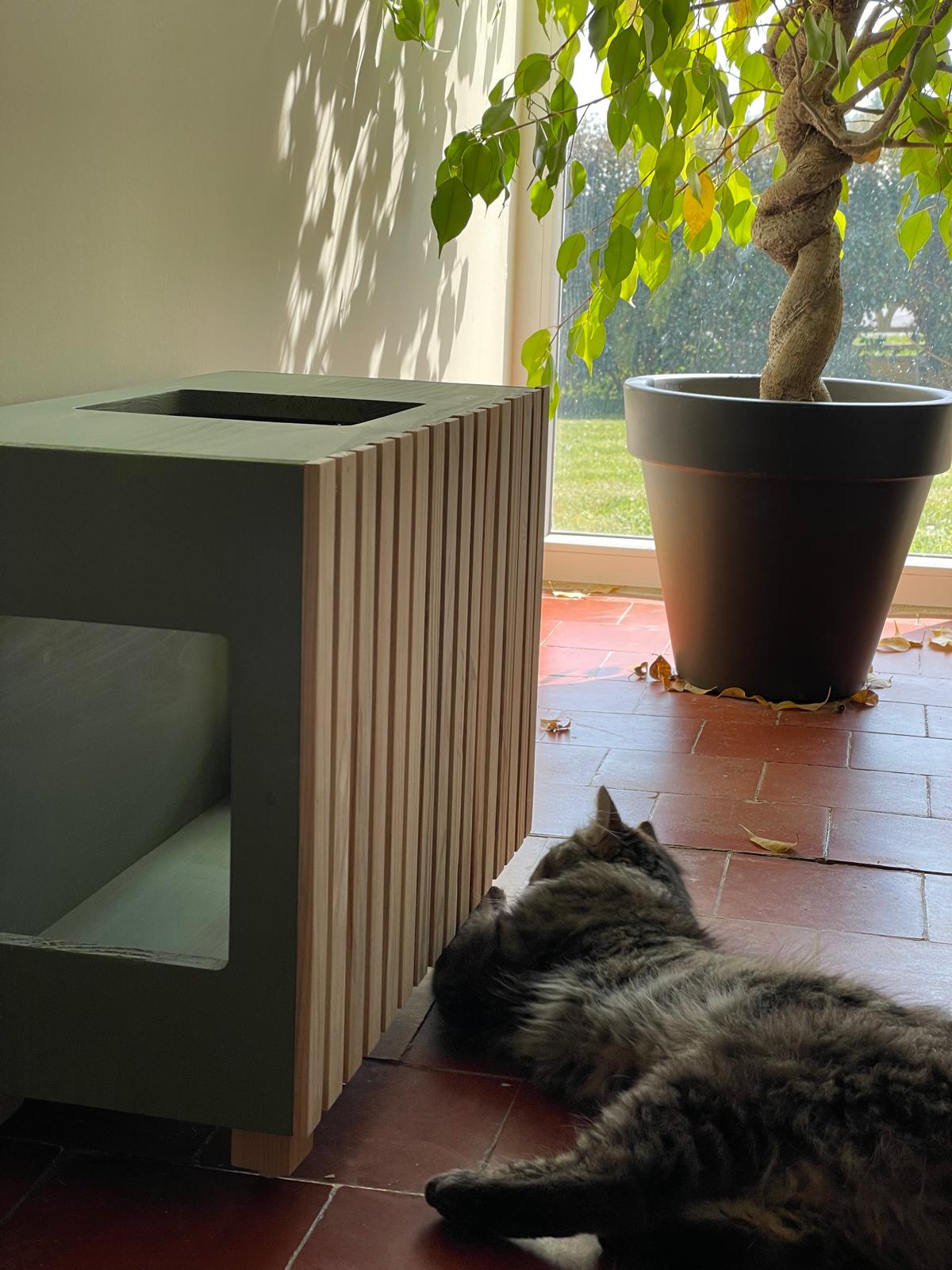 cube pour chat design