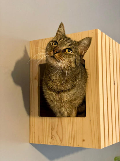 plateformes pour chat à accrocher au mur 