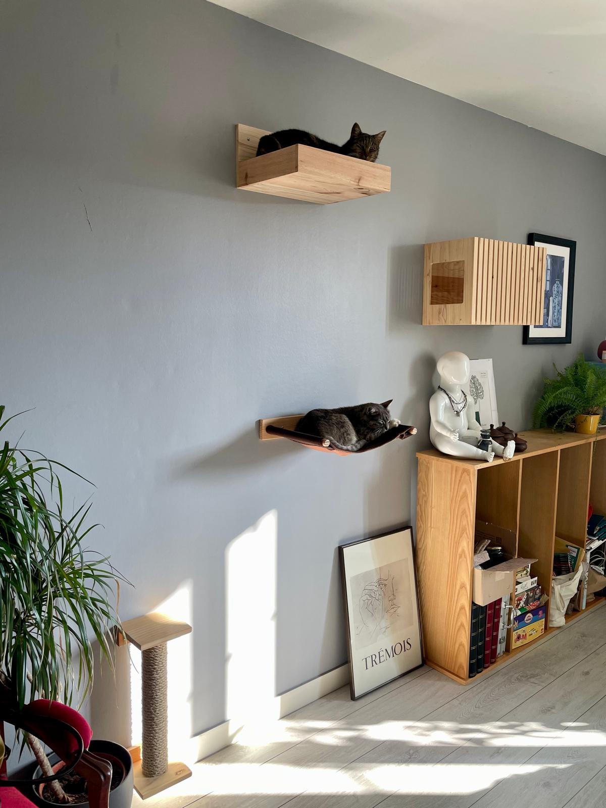 Notre parcours mural