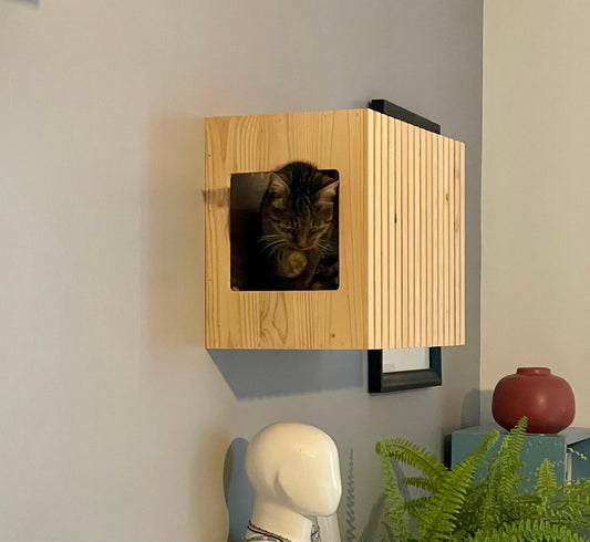étagères murales design chat
